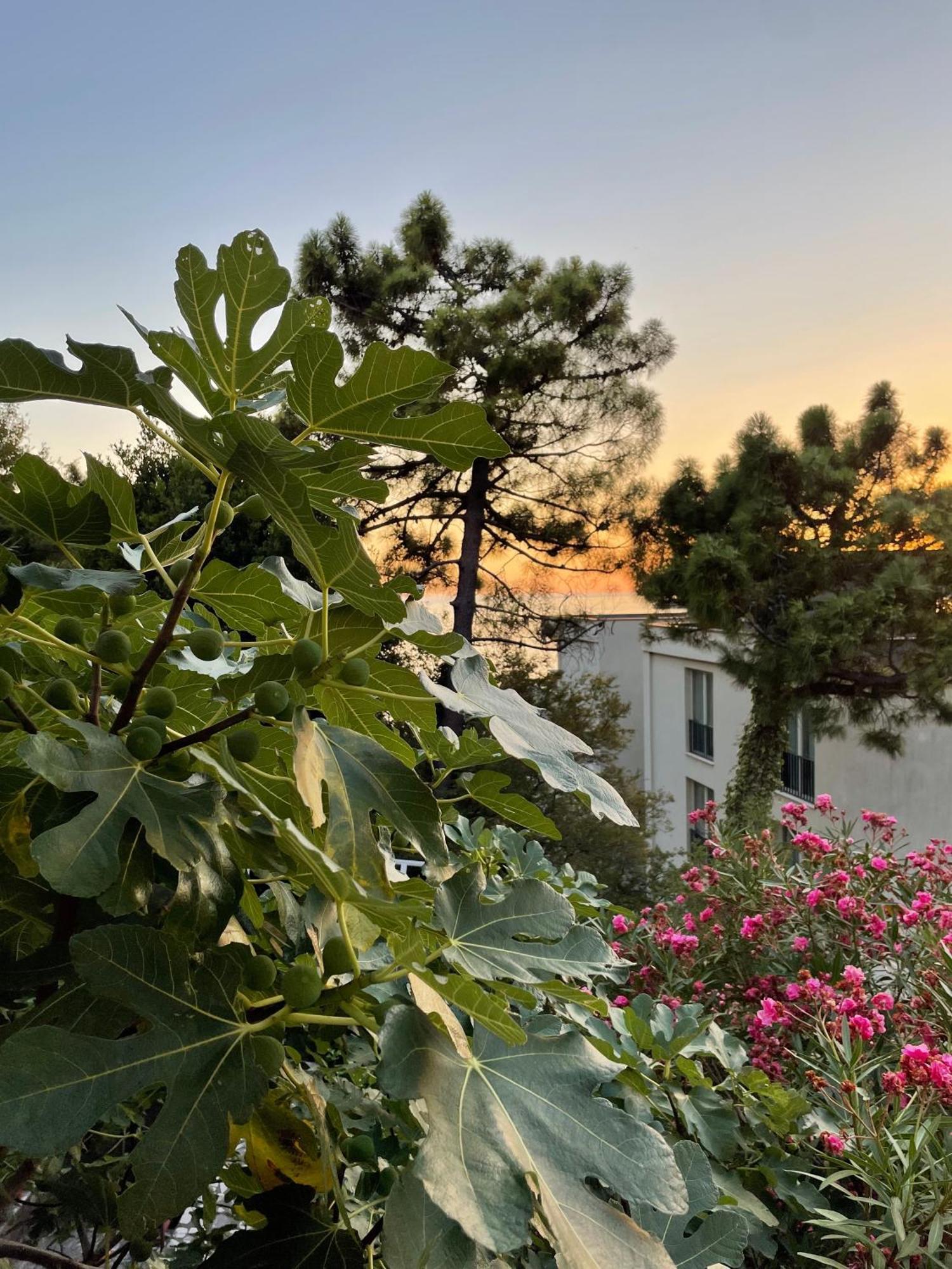 Apartments Sana Ilha Ilha Sveti Stefan Exterior foto